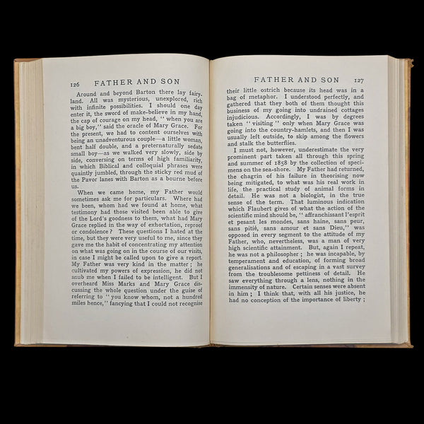 Vintage Book, Father And Son, Edmund Gosse, Memoir, Literary Classic, Circa 1935