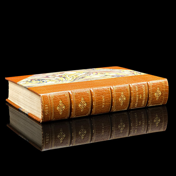 Antique Book, Adventures of Mr Ledbury, Albert Smith, Novel, Literature, C.1886