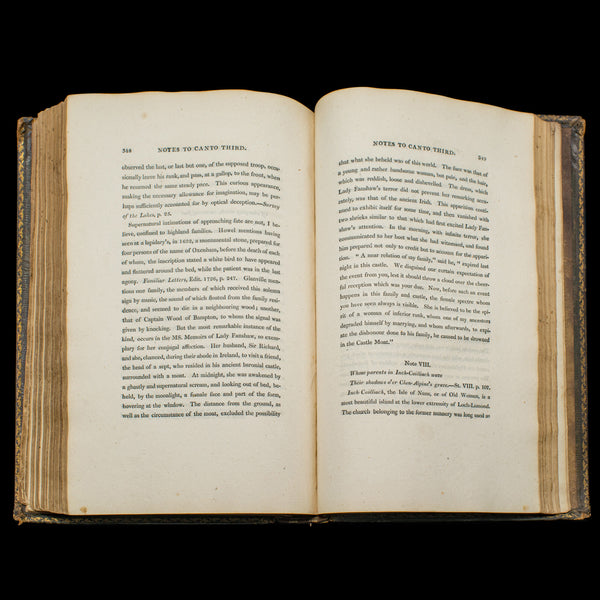 Antique Poetry Book, The Lady Of The Lake, Walter Scott, Early Edition, Georgian