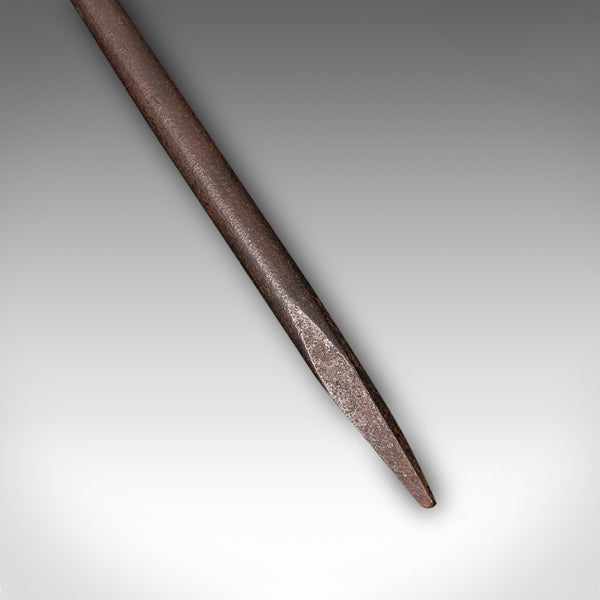 Antique Ram's Head Fire Poker, English Wrought Iron, Aries, Fireplace, Edwardian