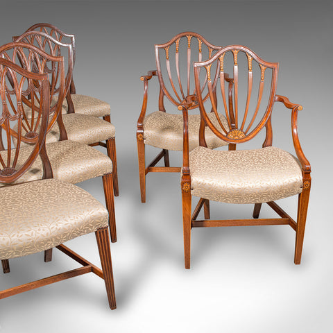 Antique Dining Chair Suite, English, Carver & Slipper Chairs, Edwardian, C.1910