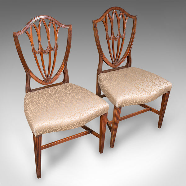 Antique Dining Chair Suite, English, Carver & Slipper Chairs, Georgian, C.1800