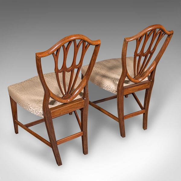 Antique Dining Chair Suite, English, Carver & Slipper Chairs, Georgian, C.1800