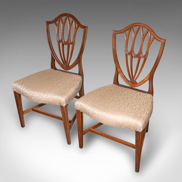 Antique Dining Chair Suite, English, Carver & Slipper Chairs, Georgian, C.1800