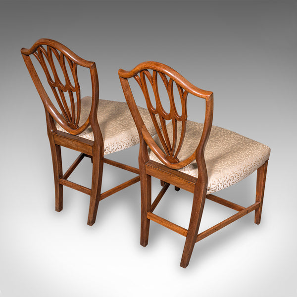 Antique Dining Chair Suite, English, Carver & Slipper Chairs, Georgian, C.1800