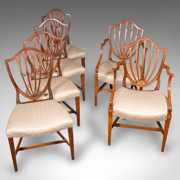 Antique Dining Chair Suite, English, Carver & Slipper Chairs, Georgian, C.1800