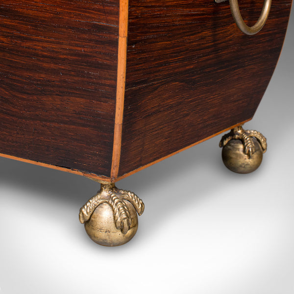 Antique Sarcophagus Tea Caddy, English, Loose Leaf Case, William IV, Circa 1835