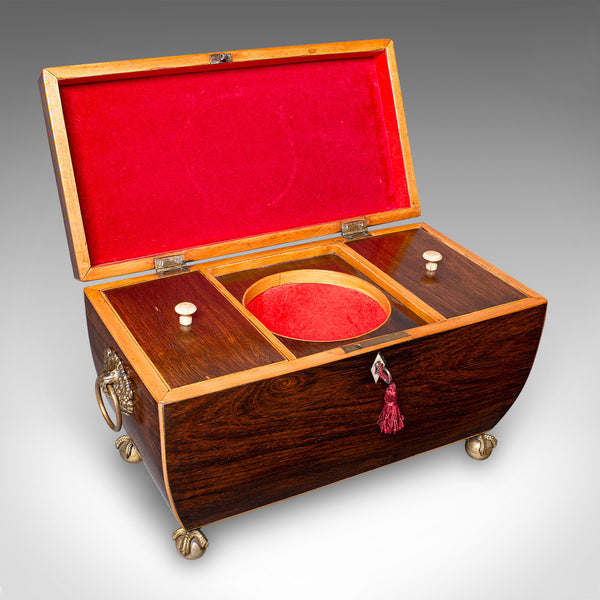 Antique Sarcophagus Tea Caddy, English, Loose Leaf Case, William IV, Circa 1835