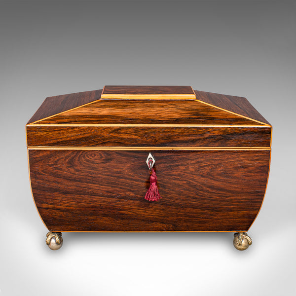 Antique Sarcophagus Tea Caddy, English, Loose Leaf Case, William IV, Circa 1835
