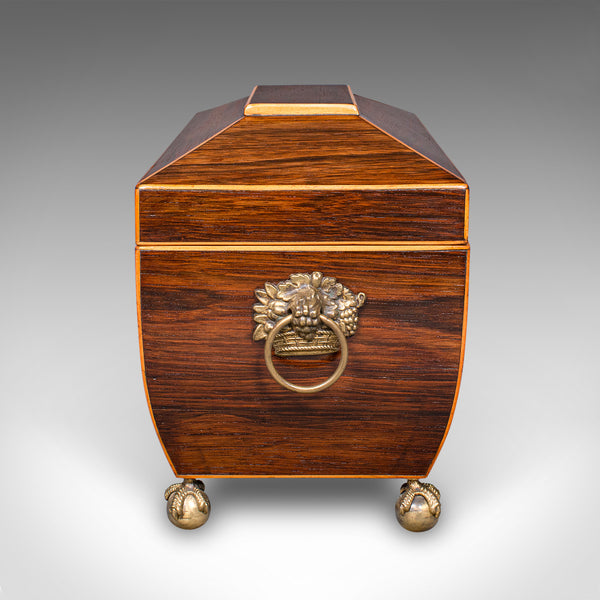 Antique Sarcophagus Tea Caddy, English, Loose Leaf Case, William IV, Circa 1835