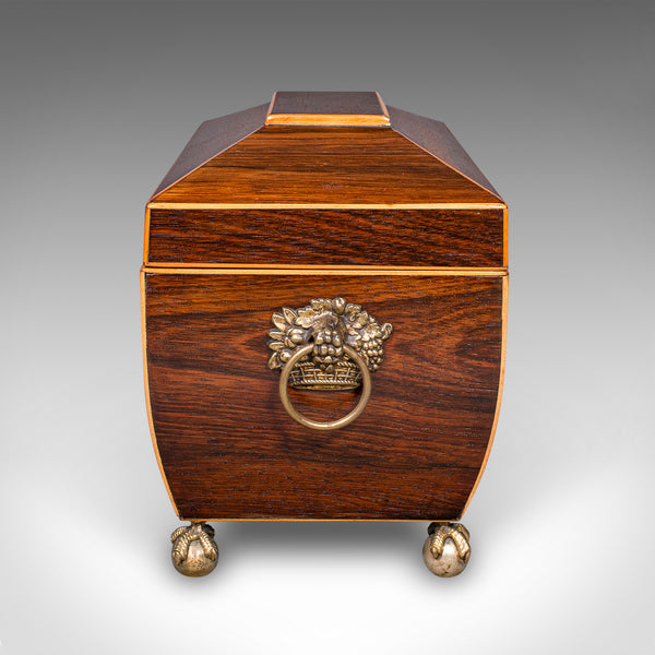 Antique Sarcophagus Tea Caddy, English, Loose Leaf Case, William IV, Circa 1835