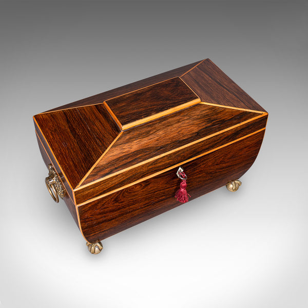 Antique Sarcophagus Tea Caddy, English, Loose Leaf Case, William IV, Circa 1835