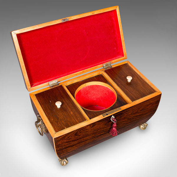 Antique Sarcophagus Tea Caddy, English, Loose Leaf Case, William IV, Circa 1835