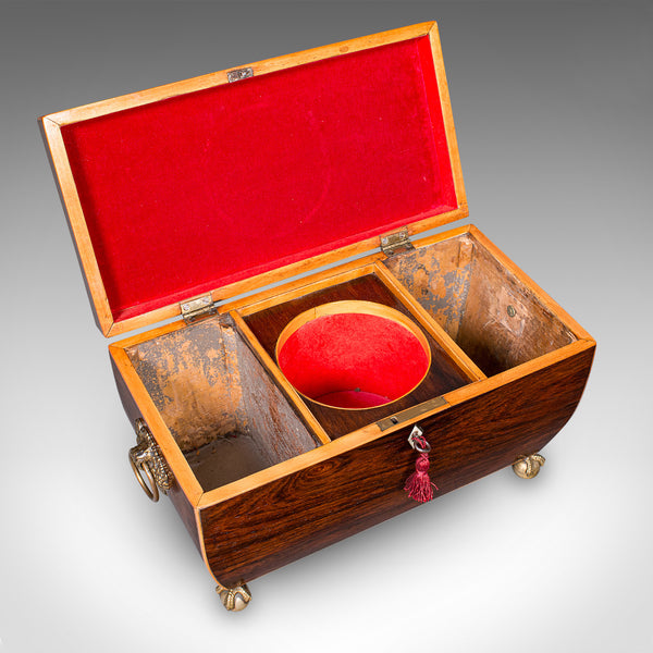 Antique Sarcophagus Tea Caddy, English, Loose Leaf Case, William IV, Circa 1835