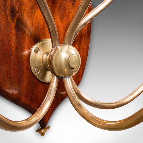 Antique Hunting Lodge Coat Rack, Scottish, Six Branch Hall Shield, Edwardian