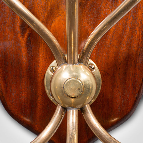 Antique Hunting Lodge Coat Rack, Scottish, Six Branch Hall Shield, Edwardian