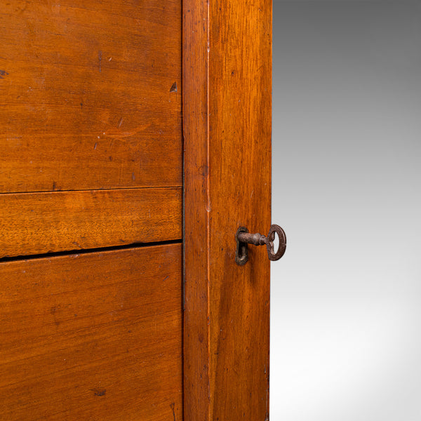 Antique Wellington Chest, English Walnut Specimen Collector's Drawers, Victorian