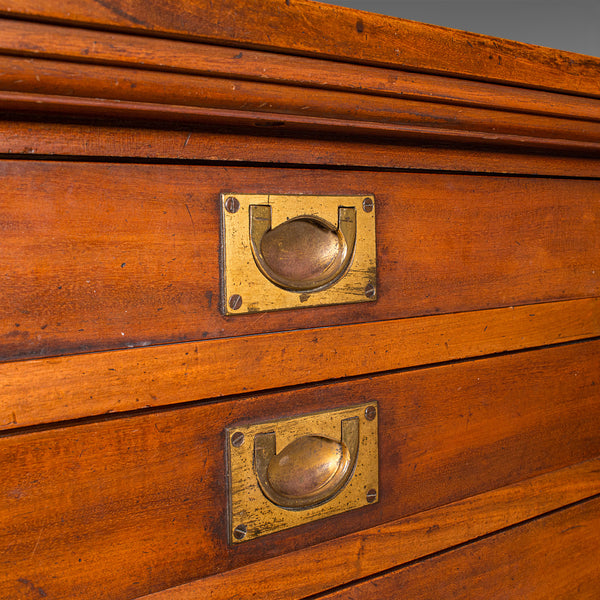 Antique Wellington Chest, English Walnut Specimen Collector's Drawers, Victorian