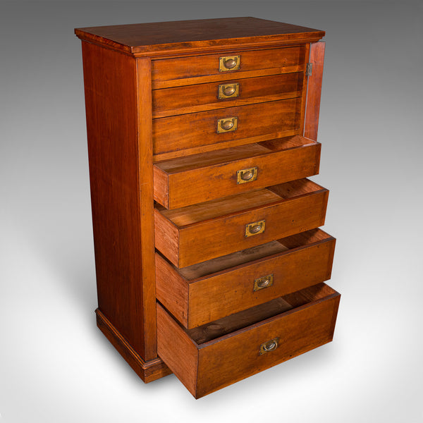 Antique Wellington Chest, English Walnut Specimen Collector's Drawers, Victorian