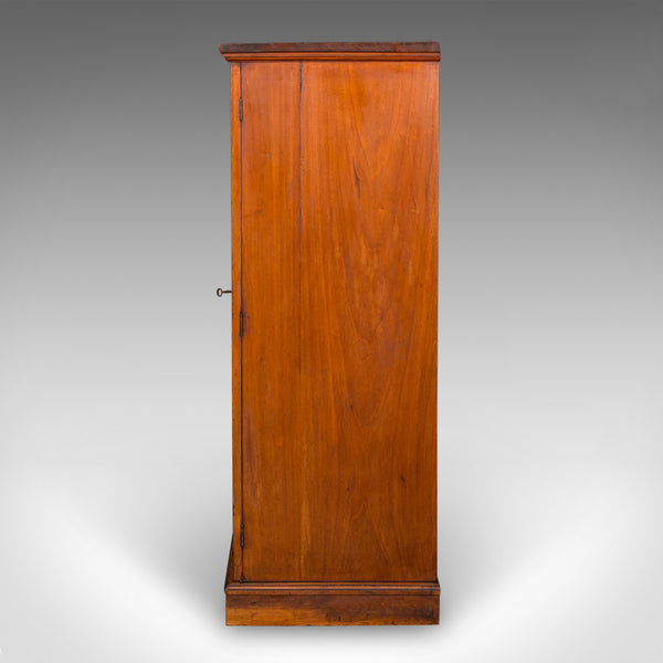 Antique Wellington Chest, English Walnut Specimen Collector's Drawers, Victorian