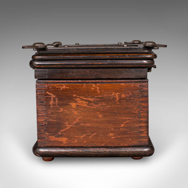 Antique Flower Press Box, English, Elm, Cast Iron, Hobby Case, Edwardian, C.1910