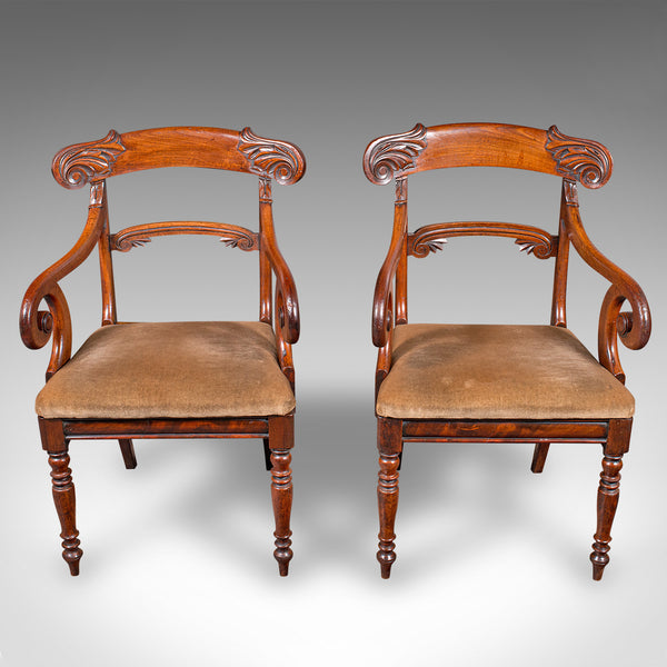 Pair of Antique Morning Room Chairs, English, Elbow Seat, Regency, Circa 1820
