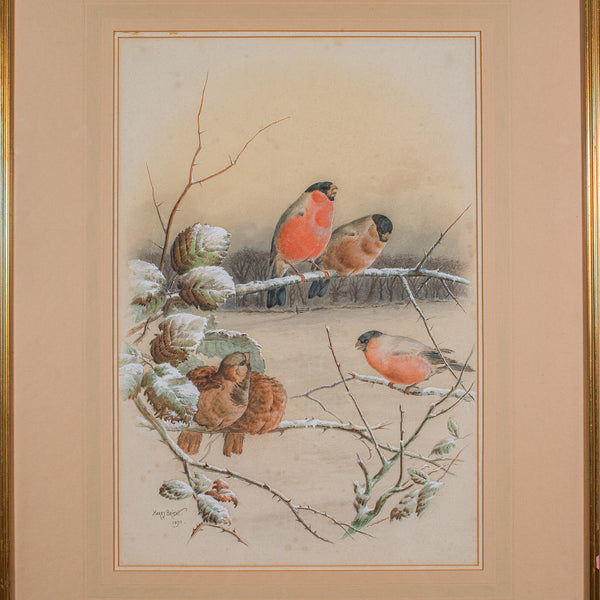 Antique Watercolour Painting, English School, Bird Art, Harry Bright, Victorian
