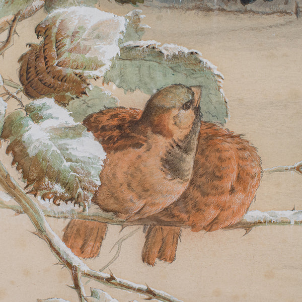 Antique Watercolour Painting, English School, Bird Art, Harry Bright, Victorian