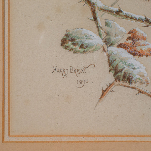 Antique Watercolour Painting, English School, Bird Art, Harry Bright, Victorian