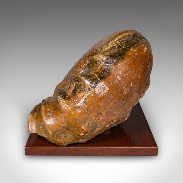 Large Ammonite Specimen, Natural History, Jurassic Fossil, Antique Presentation