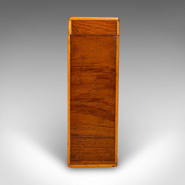 Antique Document Sleeve, English, Stationery Box, Home Office, Georgian, C.1800