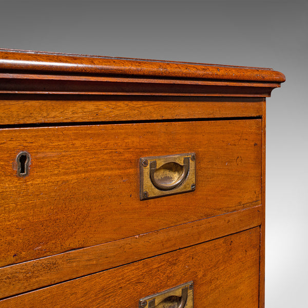 Antique Gentleman's Sporran Chest, Scottish, Collectors Cabinet, Victorian, 1850