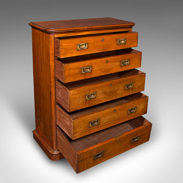 Antique Gentleman's Sporran Chest, Scottish, Collectors Cabinet, Victorian, 1850