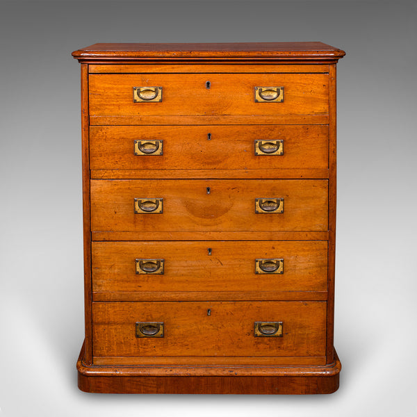 Antique Gentleman's Sporran Chest, Scottish, Collectors Cabinet, Victorian, 1850