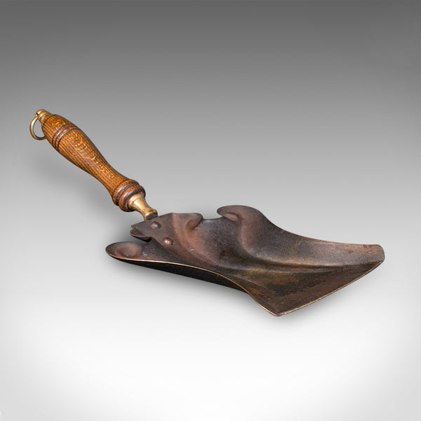 Antique Coal Purdonium, Scottish, Oak, Fireside Store, Gothic Revival, Victorian