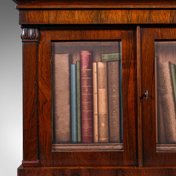 Antique Bachelor's Book Cabinet, English, Tabletop Repository, William IV, 1835