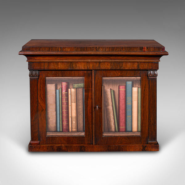 Antique Bachelor's Book Cabinet, English, Tabletop Repository, William IV, 1835