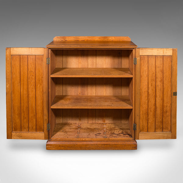 Tall Antique Side Cabinet, English, Ash, Book Cupboard, Hall, Lounge, Victorian