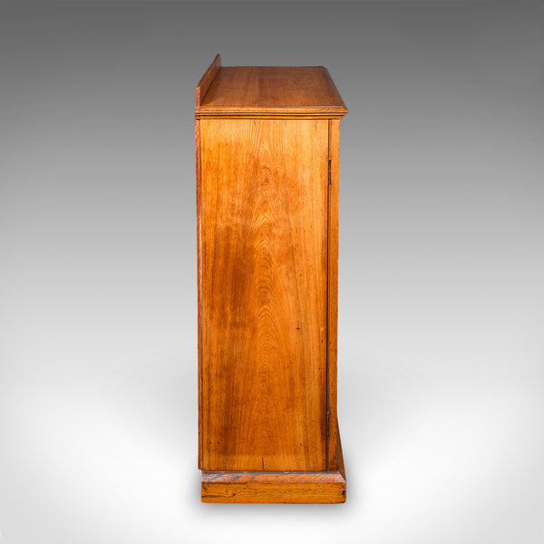 Tall Antique Side Cabinet, English, Ash, Book Cupboard, Hall, Lounge, Victorian