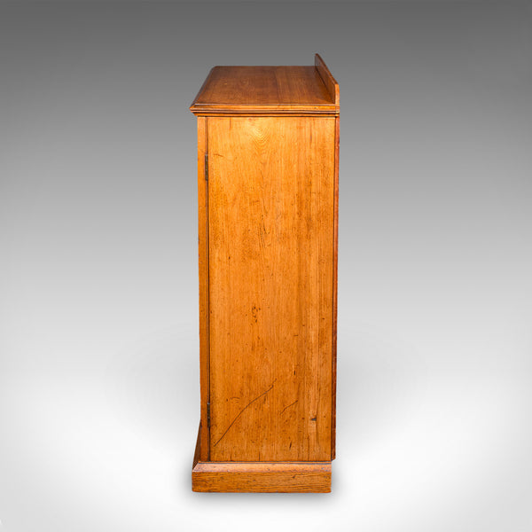 Tall Antique Side Cabinet, English, Ash, Book Cupboard, Hall, Lounge, Victorian