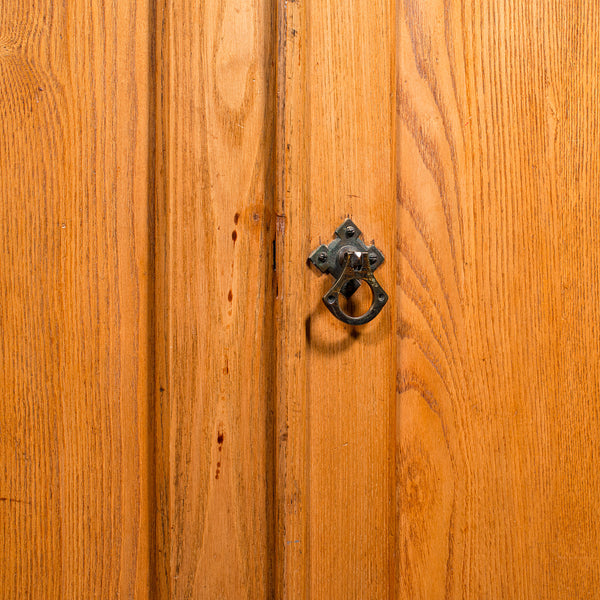 Tall Antique Side Cabinet, English, Ash, Book Cupboard, Hall, Lounge, Victorian