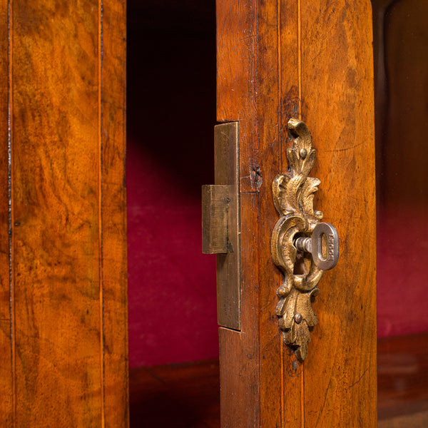 Antique Pier Cabinet, English, Walnut, Glazed Display Bookcase, Victorian, 1860