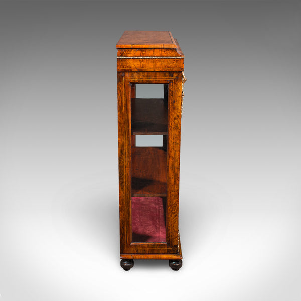 Antique Pier Cabinet, English, Walnut, Glazed Display Bookcase, Victorian, 1860