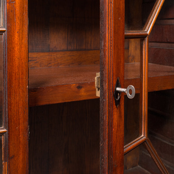 Antique Astragal Glazed Bookcase, English, Display Book Cabinet, Victorian, 1880