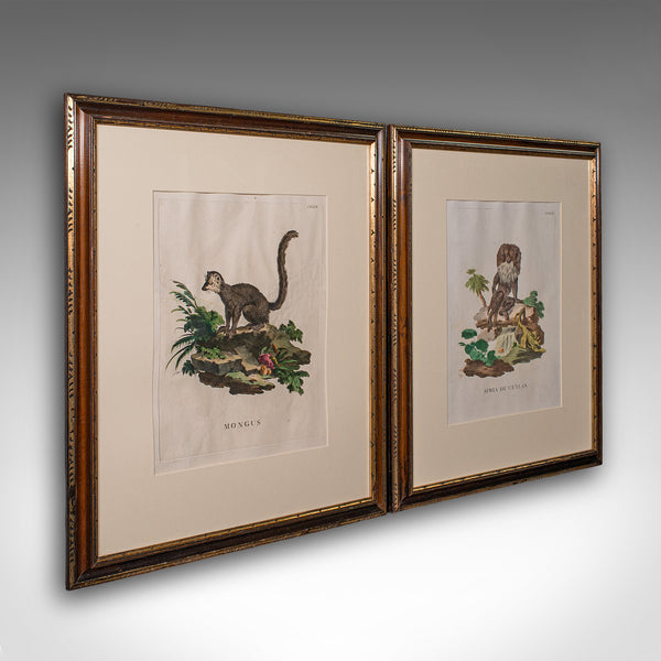 Pair of Antique Animal Portraits, French, Framed Pictures, Natural Art, Georgian