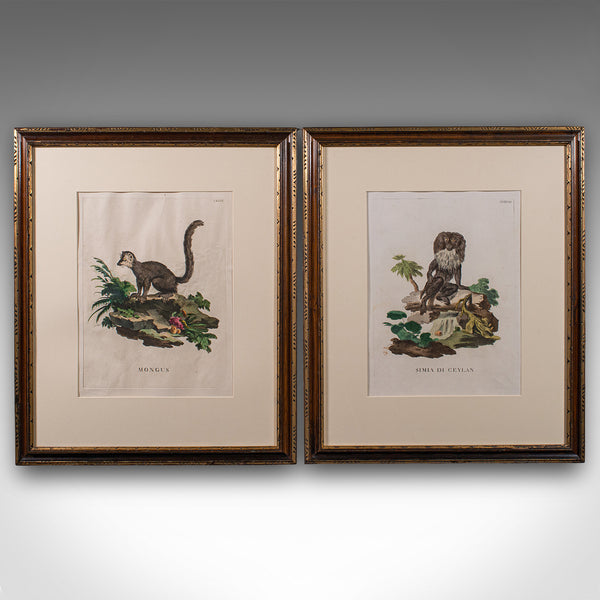 Pair of Antique Animal Portraits, French, Framed Pictures, Natural Art, Georgian