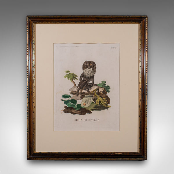 Pair of Antique Animal Portraits, French, Framed Pictures, Natural Art, Georgian