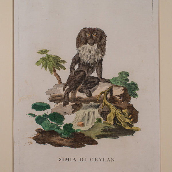 Pair of Antique Animal Portraits, French, Framed Pictures, Natural Art, Georgian