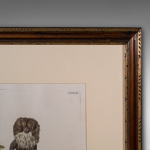 Pair of Antique Animal Portraits, French, Framed Pictures, Natural Art, Georgian