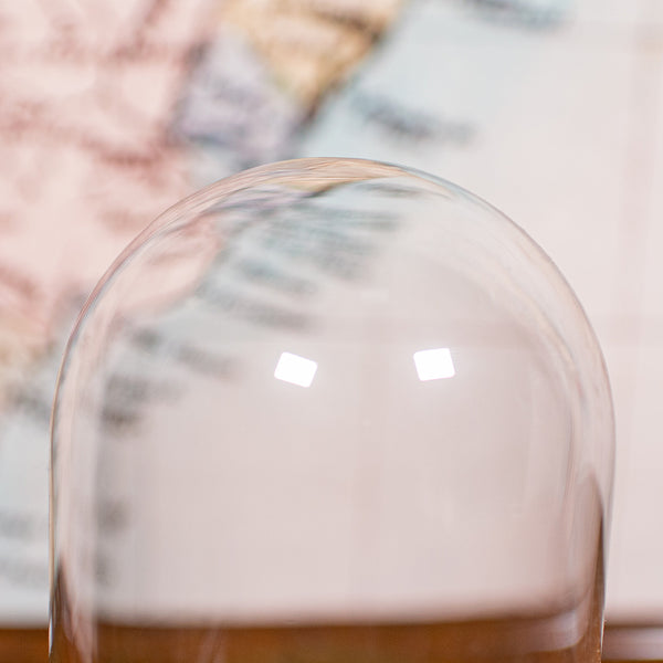 Small Antique Display Dome, English, Glass, Specimen Showcase, Edwardian, C.1910